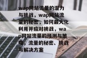 wap网站流量的潜力与挑战,wap网站流量的秘密,如何最大化利用并应对挑战,wap网站流量的预测与策略,流量的秘密、挑战与解决方案 wap网站流量的潜力与挑战,wap网站流量的秘密,如何最大化利用并应对挑战,wap网站流量的预测与策略,流量的秘密、挑战与解决方案