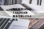 华蓝集团(301027.SZ)2024年度净亏损1379.6万元 华蓝集团(301027.SZ)2024年度净亏损1379.6万元