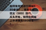 如何有效地进行网站SEO查询?,搜索引擎优化(SEO)技巧,从头开始,如何在网站上快速提高SEO排名?