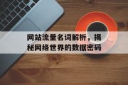 网站流量名词解析,揭秘网络世界的数据密码 网站流量名词解析,揭秘网络世界的数据密码