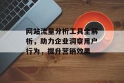 网站流量分析工具全解析,助力企业洞察用户行为,提升营销效果 网站流量分析工具全解析,助力企业洞察用户行为,提升营销效果