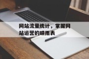网站流量统计,掌握网站运营的晴雨表 网站流量统计,掌握网站运营的晴雨表