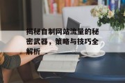 揭秘自制网站流量的秘密武器,策略与技巧全解析 揭秘自制网站流量的秘密武器,策略与技巧全解析