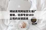 揭秘高效网站优化推广策略，选择专业SEO公司的关键因素