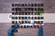 盈利的强大力量源自网络营销,从坤阳电子商务网站搭建优化谈起,网络营销助力企业盈利强大力量揭秘,网络营销: 企业盈利大法与秘诀