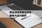 网站活动流量双丰收,策略与技巧解析 网站活动流量双丰收,策略与技巧解析