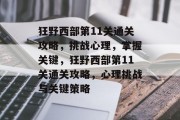 狂野西部第11关通关攻略,挑战心理,掌握关键,狂野西部第11关通关攻略,心理挑战与关键策略