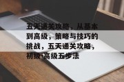五天通关攻略，从基本到高级，策略与技巧的挑战，五天通关攻略，初级-高级五步法