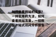如何查看网站的流量?一种实用的方法,如何查看网站流量,一招教你一站式访问分析报告 如何查看网站的流量?一种实用的方法,如何查看网站流量,一招教你一站式访问分析报告