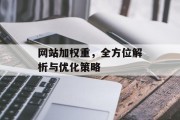 网站加权重,全方位解析与优化策略 网站加权重,全方位解析与优化策略