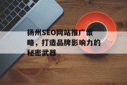 扬州SEO网站推广策略，打造品牌影响力的秘密武器