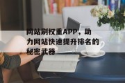 网站刷权重APP，助力网站快速提升排名的秘密武器