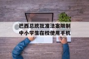 巴西总统批准法案限制中小学生在校使用手机 巴西总统批准法案限制中小学生在校使用手机