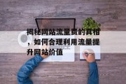 揭秘网站流量费的真相，如何合理利用流量提升网站价值