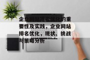 企业网站排名优化的重要性及实践，企业网站排名优化，现状、挑战与策略分析