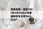 深南电路：截至2025年2月28日公司普通股股东总数为41,393户