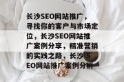 长沙SEO网站推广,寻找你的客户与市场定位,长沙SEO网站推广案例分享,精准营销的实践之路,长沙 SEO网站推广案例分析 长沙SEO网站推广,寻找你的客户与市场定位,长沙SEO网站推广案例分享,精准营销的实践之路,长沙 SEO网站推广案例分析