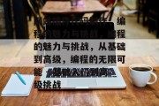 网站插件代码制作,编程的魅力与挑战,编程的魅力与挑战,从基础到高级,编程的无限可能 - 基础入门到高级挑战 网站插件代码制作,编程的魅力与挑战,编程的魅力与挑战,从基础到高级,编程的无限可能 - 基础入门到高级挑战