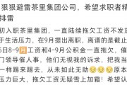 知名袋泡茶品牌被员工在线讨薪!历经九轮融资的“CHALI茶里”为何沦落至此 知名袋泡茶品牌被员工在线讨薪!历经九轮融资的“CHALI茶里”为何沦落至此