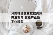 分类推进企业数据资源开发利用 赋能产业数字化转型 分类推进企业数据资源开发利用 赋能产业数字化转型