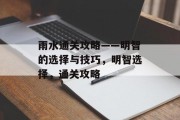 雨水通关攻略——明智的选择与技巧,明智选择,通关攻略 雨水通关攻略——明智的选择与技巧,明智选择,通关攻略