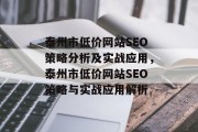 泰州市低价网站SEO策略分析及实战应用,泰州市低价网站SEO策略与实战应用解析 泰州市低价网站SEO策略分析及实战应用,泰州市低价网站SEO策略与实战应用解析