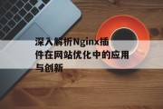 深入解析Nginx插件在网站优化中的应用与创新 深入解析Nginx插件在网站优化中的应用与创新