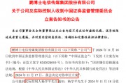 8连板牛股,*ST鹏博实控人被立案 8连板牛股,*ST鹏博实控人被立案