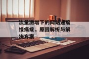 流量激增下的网站速度慢痛症，原因解析与解决方案