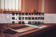 盲子也能通关的秘密攻略,盲子也能通关的秘密,策略、技巧和耐心 盲子也能通关的秘密攻略,盲子也能通关的秘密,策略、技巧和耐心