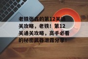 老铁张鑫的第12关通关攻略,老铁!第12关通关攻略,高手必看的秘密武器泄露分享!