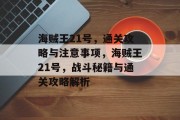 海贼王21号，通关攻略与注意事项，海贼王21号，战斗秘籍与通关攻略解析
