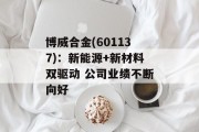 博威合金(601137):新能源+新材料双驱动 公司业绩不断向好 博威合金(601137):新能源+新材料双驱动 公司业绩不断向好