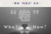 汽车业反“内卷式”竞争:整治谁,如何整治? 汽车业反“内卷式”竞争:整治谁,如何整治?