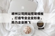 郴州公司网站搭建模板,打造专业企业形象,助力企业腾飞 郴州公司网站搭建模板,打造专业企业形象,助力企业腾飞