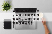 天津SEO网站的优点，天津SEO网站的优势分析，天津SEO网站的优缺点分析