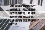 分析网站流量的分析方法与技巧，网站流量分析方法与技巧，如何更有效地管理网站流量？，分析网站流量的技巧和方法