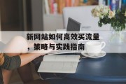 新网站如何高效买流量,策略与实践指南 新网站如何高效买流量,策略与实践指南