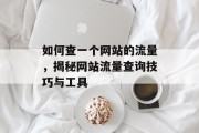 如何查一个网站的流量,揭秘网站流量查询技巧与工具 如何查一个网站的流量,揭秘网站流量查询技巧与工具
