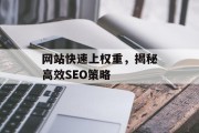 网站快速上权重，揭秘高效SEO策略