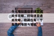 令人难以置信的迷宫通关卡攻略，终极迷宫通关攻略，隐藏在每一个角落的难题与策略