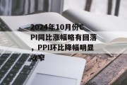 2024年10月份CPI同比涨幅略有回落，PPI环比降幅明显收窄