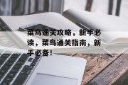 菜鸟通关攻略,新手必读,菜鸟通关指南,新手必备! 菜鸟通关攻略,新手必读,菜鸟通关指南,新手必备!