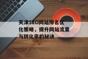 天津SEO网站排名优化策略,提升网站流量与转化率的秘诀 天津SEO网站排名优化策略,提升网站流量与转化率的秘诀