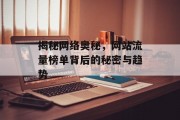 揭秘网络奥秘,网站流量榜单背后的秘密与趋势 揭秘网络奥秘,网站流量榜单背后的秘密与趋势