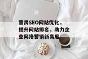 番禺SEO网站优化,提升网站排名,助力企业网络营销新高度 番禺SEO网站优化,提升网站排名,助力企业网络营销新高度