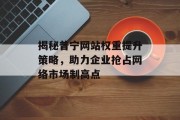 揭秘普宁网站权重提升策略,助力企业抢占网络市场制高点 揭秘普宁网站权重提升策略,助力企业抢占网络市场制高点