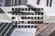 有效网站流量领取技巧分享让你的网站流量爆棚!,爆款网站流量技巧大公开,有效获取网站流量的秘密武器! 有效网站流量领取技巧分享让你的网站流量爆棚!,爆款网站流量技巧大公开,有效获取网站流量的秘密武器!