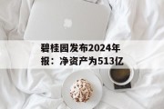 碧桂园发布2024年报：净资产为513亿