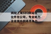 揭秘上海SEO网站优化外包公司，专业助力企业提升网络竞争力